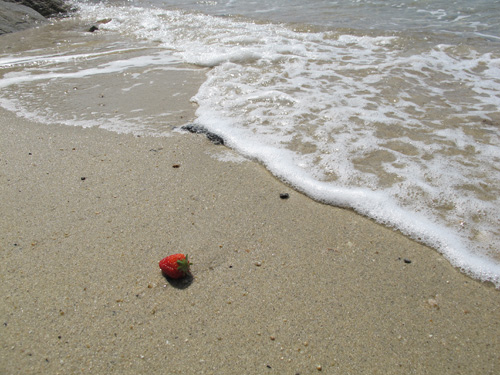 四国編～イチゴ